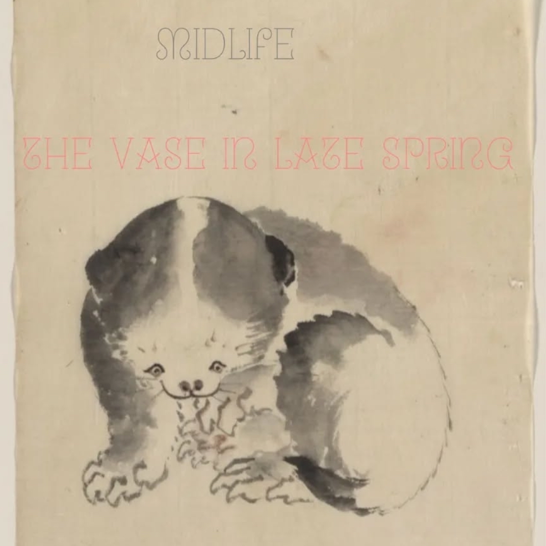 Midlife Album Cover